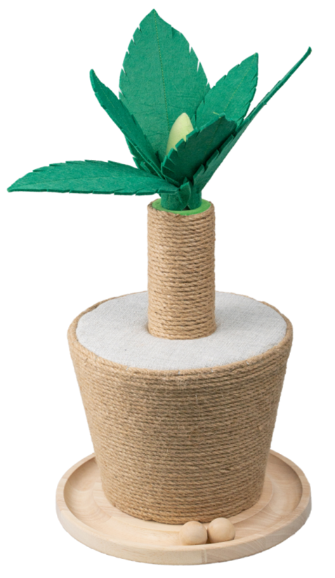 Plantas de maceta forma rascador de gato